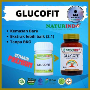 Obat Diabetes Gula Darah Tinggi Diabet Kering Basah Insulin Ampuh Kapsul Herbal Glucofit Naturindo