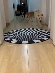 KS พรมเช็ดเท้าเรียบ ลาย 3D มียางกันลื่น ขนาด โปรดอ่าน ลาย รมปูพื้นห้อง พรมห้องรับแขกพรมกำมะหยี่ ห้องนั่งเล่น พรม3มิติ พรมปูห้องรับแขก พรมขนนุ่ม พรมปู