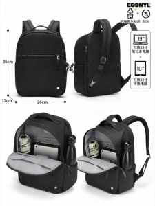 Pacsafe | Lightweight Theft-Resistant Womens Laptop Backpack
