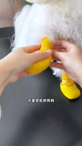 Giày Chó Mèo chống bẩn chống thấm nước kiêm vớ chân (mẫu mới) - Love Pets Shop