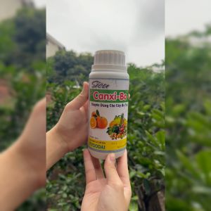 Phân bón lá siêu Canxi Bo chai 500ml chống rụng hoa trái non nứt trái thối trái - Hàng Chính Hãng