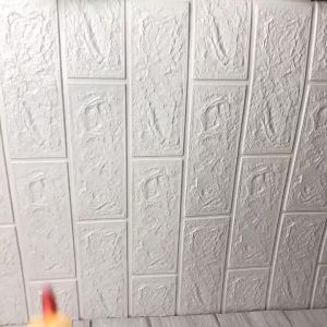 ไก่โอ๊ก ของเล่นสุนัข ร้องหนักมาก ของเล่นหมา ของเล่นยางกัด ไก่บีบ Chicken sound toy