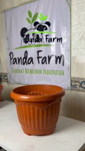 Pot Bunga Tanaman Shallom Mio no 30 Tebal Berkualitas - coklat