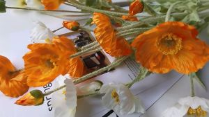 Bó Hoa Poppy Giả Đẹp Lung Linh Trang Trí Nhà Cửa Sang Trọng Tươi Sáng