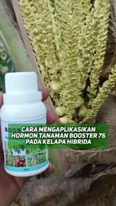 BOOSTER 76 kemasan 250ml pupuk organik penyubur pelebat dan pembesar tanaman buah dan sayur