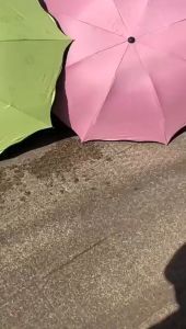 Magic UV Folding Sun / Rain Windproof Flowering Umbrella MAGIC