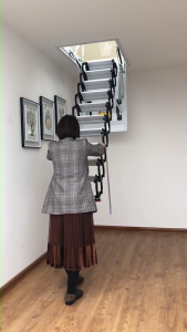 Manual Retractable Telescopic Ladder/TC-THL-8001 (PRE-ORDER)