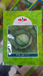 BENIH KUBIS PM 48 F1 CAP PANAH MERAH // KUBIS HIJAU PM 48 F1