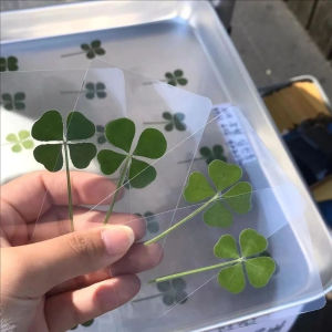 10Pcs Lucky Simulation Four-Leaf Clover Postcards Transparent Wishing Cards Ideal for Bookmarks & Decorations