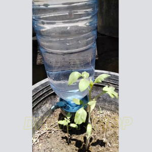 BARU Penyiram Tanaman Otomatis Tetes Irrigation Dripper Self Watering - 10262