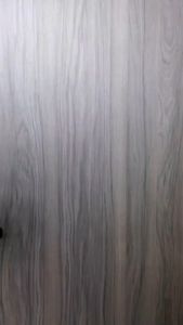 Dinosaur Projection Watch: A Portable Digital Projector for Kids