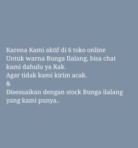(3Paket ) Obral Murah Paket Bunga Kering + Pot