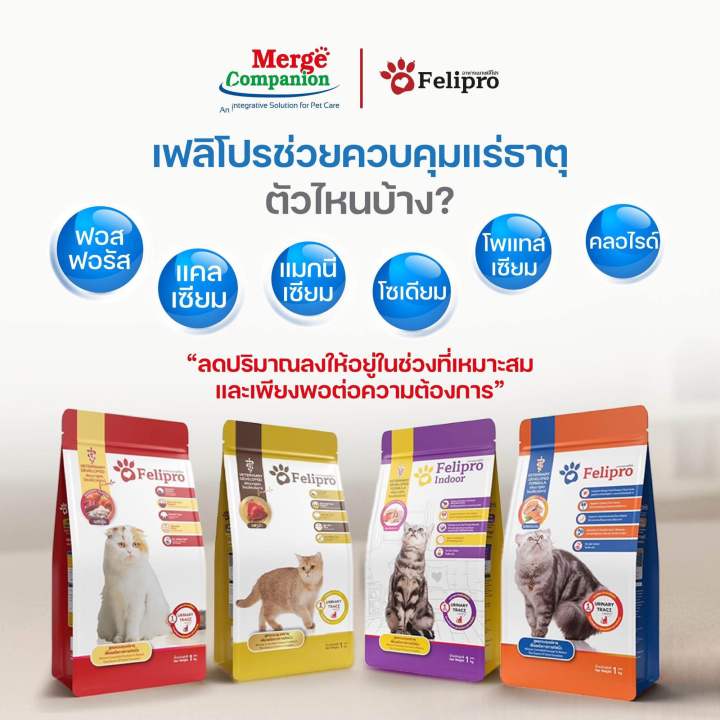 8 อันดับอาหารแมวป้องกันนิ่ว ยี่ห้อไหนดี? อัปเดตปี 2025