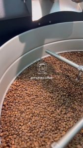 Matori Coffee Roaster เมล็ดกาแฟคั่วอ่อน Ethiopia Guji Kayon Mountain Honey Heirloom
