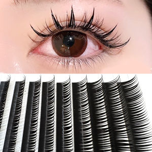 ขนตาปลอมแบบมิงค์นู่มาก8-15มม คอสเพลย์แบบเปียกจุดบุคคล อยู่ด้านบนช่อขนตาปลอม ผ่านวันที่ 16 กุมภาพันธ์ 2564