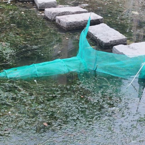 Crab Trap Shrimp Trap Shrimp Net Fish Trap Lobster Trap Minnow Trap Collapsible Portable Net Crab with Float & Heavy Duty Chain