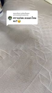 Richy Clean - น้ำยาทำความสะอาดที่นอน ขจัดคราบเปื้อน คราบเหลือง คราบเลือดได้ (ขนาด 220ml.)