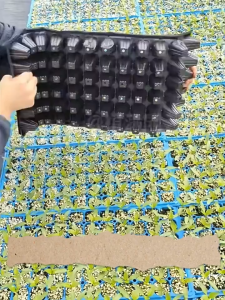 【 Buy 10 take 10】Multi-Hole Seedling Tray Flowerpot 32/50/105/128/200 Holes Garden Starter Trays Pot with Drainage Holes Flexible Plastic Seed Germination Pots for Garden Planting