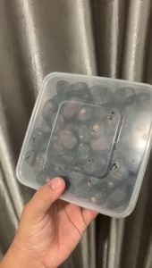 Kurma Ajwa Madinah 1kg