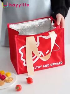Hayylife Tas Bekal/Bento Cooler Bag Dengan Zip Seal- Tote Bag Lunch Box Tahan Air Kotak Makan Aluminium Foil HL-AGB724