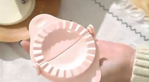 Dumpling Wrapper Molder Kitchen Empanada Maker Dumpling Mold Dumpling Wrapper Molder Dumpling Skin Pressing Tools