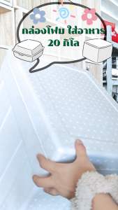 กล่องโฟม โฟมเก็บอาหาร แช่ของสด แช่อาหาร โฟมขนาด 20 กิโล