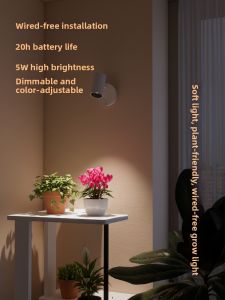 HUOQI | Wireless Remote Control Plant Grow Light 5W
