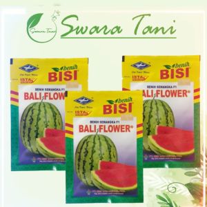 Benih Semangka Hibrida F1 BALI FLOWER Cap Kapal Terbang 20gr Chia Tai Seed Original