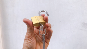 Ổ Khóa Cửa Tủ Nhà JL-TITAN Top Security Iron Panlock