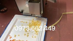 Máy thái hạt lựu củ dền cà rốt hành tây máy cắt trái cây hạt lựu công nghiệp