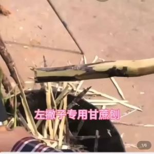 Sugar cane knife peeling knife pine apple knife stainless steel melon fruit knife