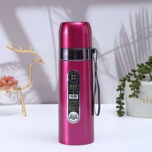 Large Capacity 500ml Double Layer Stainless Steel Insulated Water Cup Portable Mens And Womens Tea Cup Student Water Bottle