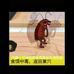 THUỐC DIỆT GIÁN SINH HỌC NHẬT BẢN – HỘP 6 VIÊN TIỆN LỢI