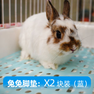 Fantasy World Farm Pet Rabbit Cage Special Foot Pad Guinea Pig Mat Anti-Chewing Bottom Net Poo Leakage Ideal for Pets