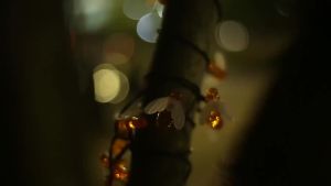 5/7/12M Solar Powered Bee Fairy Light String 8-level Adjustable Lighting Mode Outdoor Landscape Decoration Light