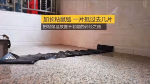 ✈️Buy 10 Free 1✈️[120 x 28 CM] Gam Tikus Super Strong Mouse Trap Glue Rat Stickers Perangkap Tikus Pelekat Tikus粘鼠毯强力抓老鼠