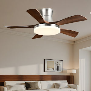 Suction Ceiling Fan Light Variable Frequency Modern Minimalist