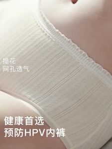 Secret World | Quần Lót Nữ Chống Vi khuẩn Thoáng Khí HPV