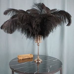 Bulu Ostrich 40-45 cm /Bulu Topi /Replika Bulu Dekorasi-100% bulu burung ostrich asli