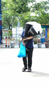 TOYOGO Multi-Purpose Shopping Basket Trolley with Wheels – Heavy Duty Storage Cart (4321)