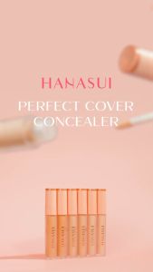 HANASUI Perfect Cover Concealer