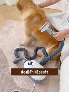 เครื่องเป่าขนสูงสุด 2000W เสียงเงียบ ลมแรง เป่าร้อนเย็น เป่าเปรียบเทียบกับสัตว์เลี้ยง ไดร์เป่าผมสำหรับสัตว์เลี้ยง
