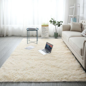 Simple New Fluffy Carpet