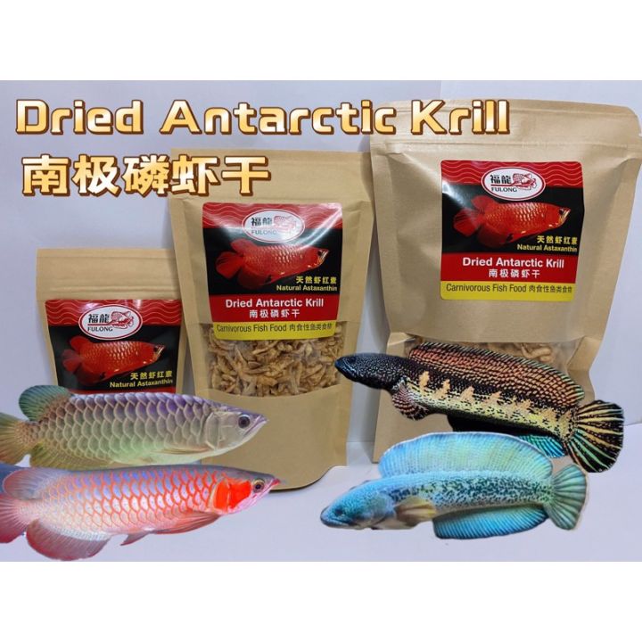 Krill Based Turtle Diets Applied Reference: Fulong Dried Krill Antarctic Shrimp Channa Turtle Arowana Food Udang