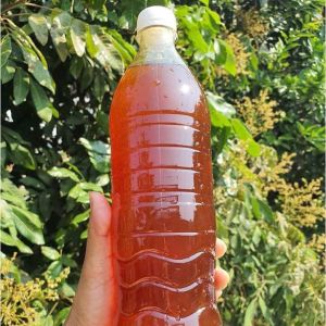 Mật Ong Nhãn Nguyên Chất Hưng Yên Chai 1L