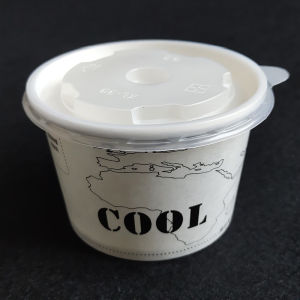 Double Coated Ice Cream Paper Bowl Disposable Ice Cream Cup Thickened 260ml Pudding Cup with Cover with Spoon Small Soup Bowl