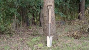 [READY STOCK] Berry & Bird Stainless Steel Planting Spade – Durable and Ergonomic Tool for Precise Digging Transplanting and Soil Preparation in Gardening