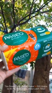 PASEO.mp4