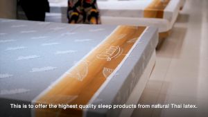 Quatex Durian หมอนรองกระดูกรูปทรงกายวิภาคของผู้หญิง