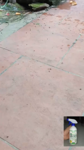 Thuốc xịt ruồi Bio ERN chai 430ml thuốc diệt ruồi hiệu quả nhất hiện nay